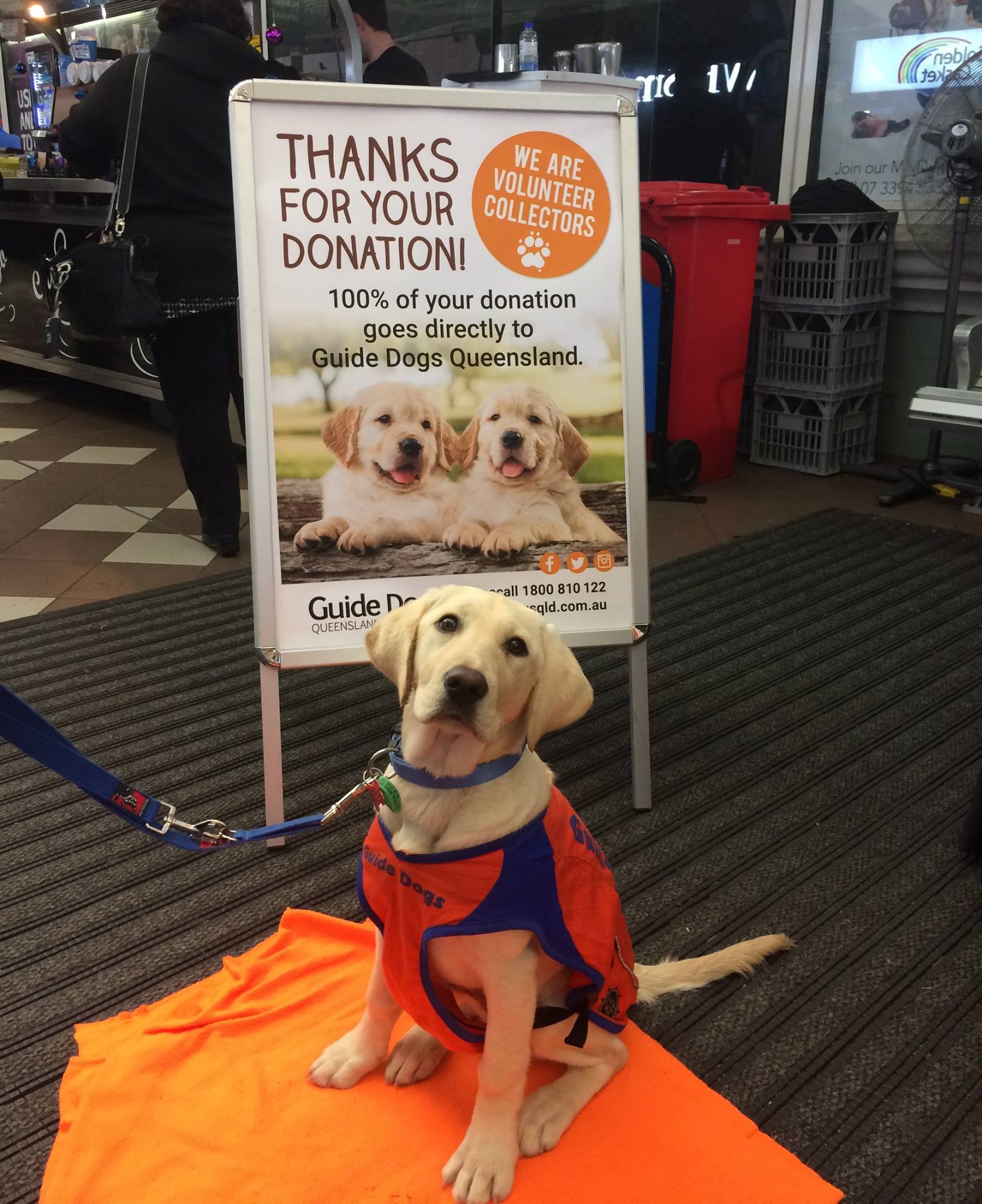 Queensland Rail - Did you donate to Guide Dogs Queensland...