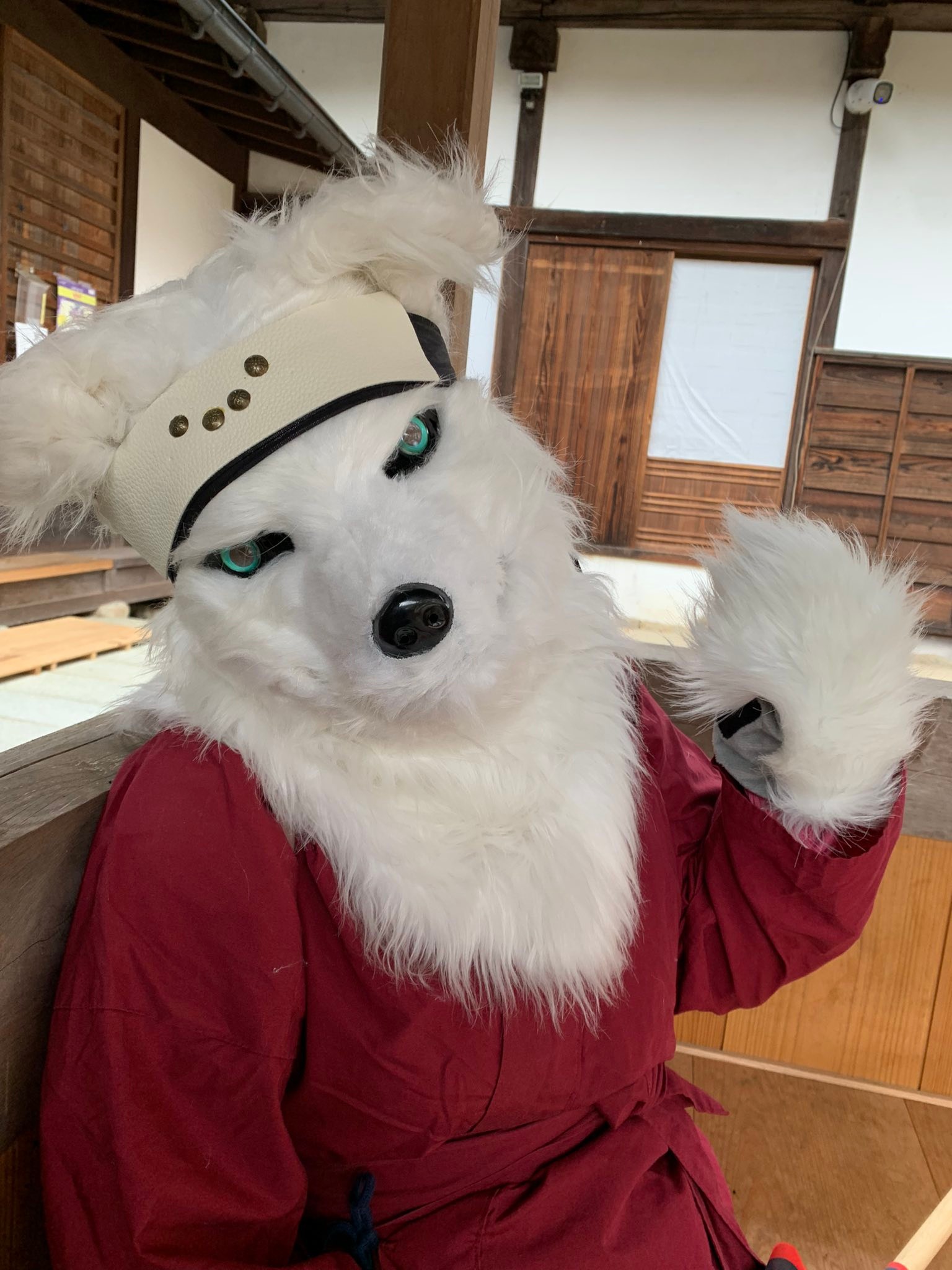 【中古】 上杉謙信の野望北の無敵艦隊 風林火山 - 本日の名探偵コナン…川中島なのですね 上杉謙信公と武田