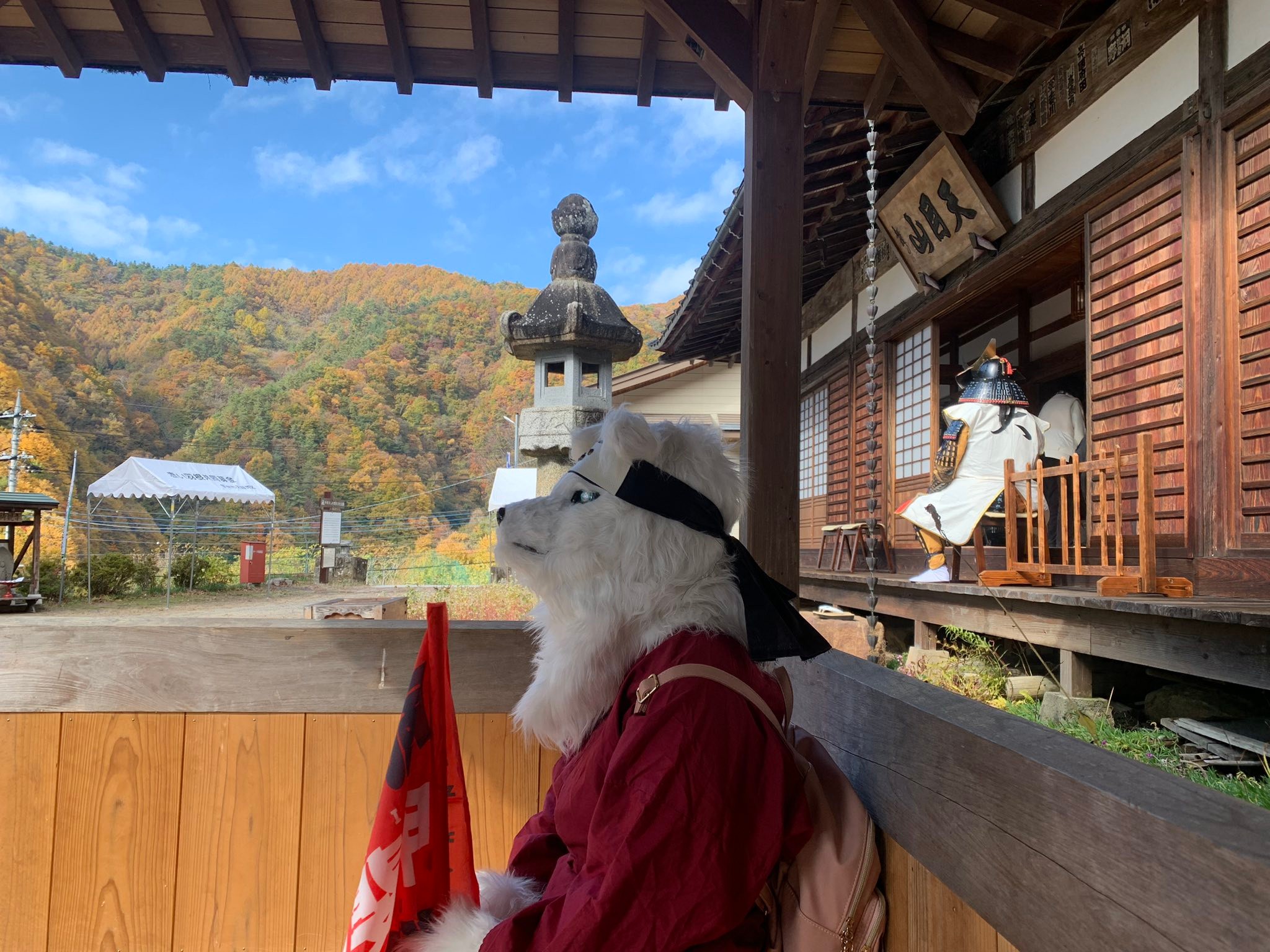 風林火山 - 本日の名探偵コナン…川中島なのですね 上杉謙信公と武田