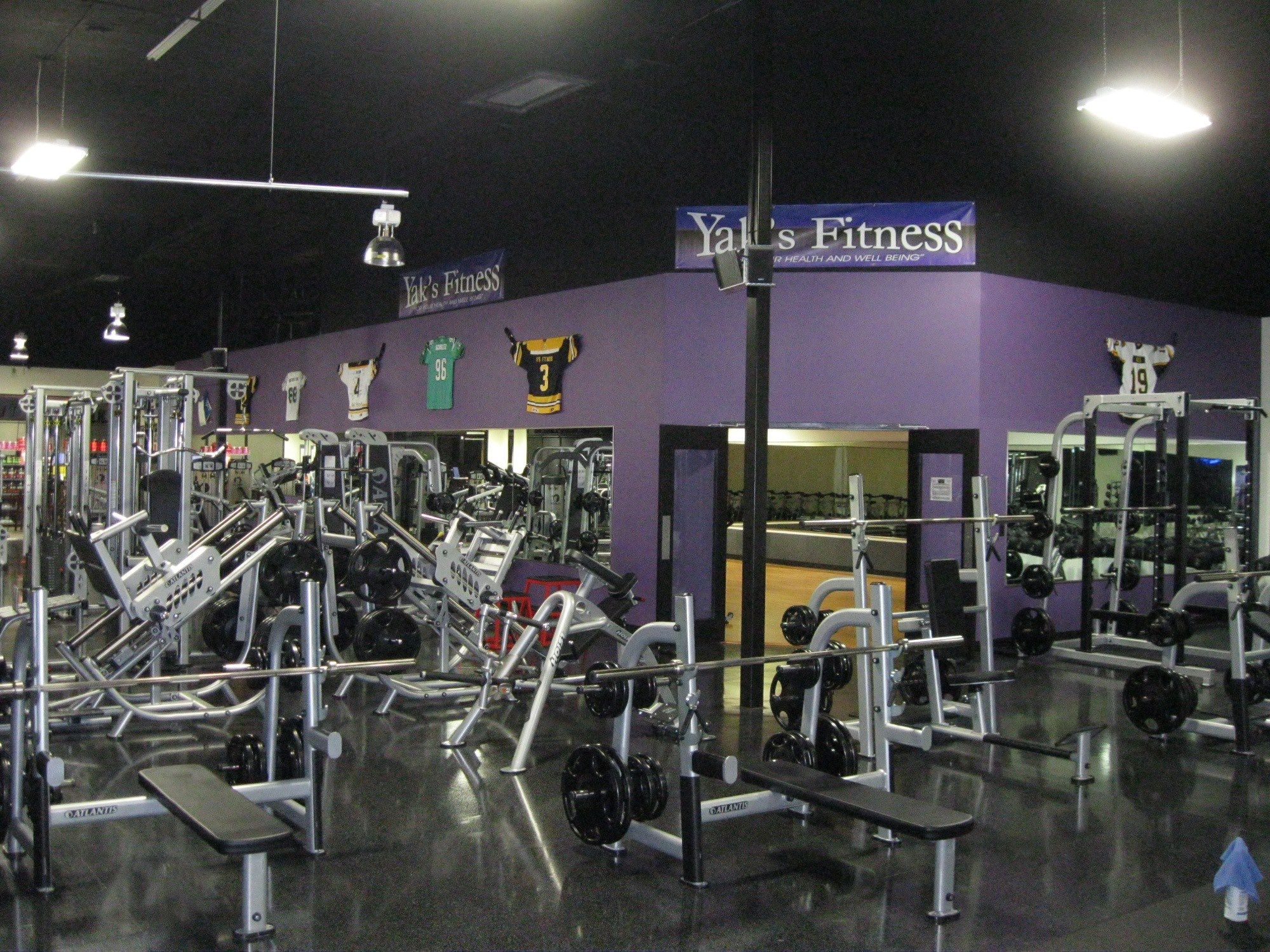 1. Builds the physique you want muscle creates shape, definition, and ...