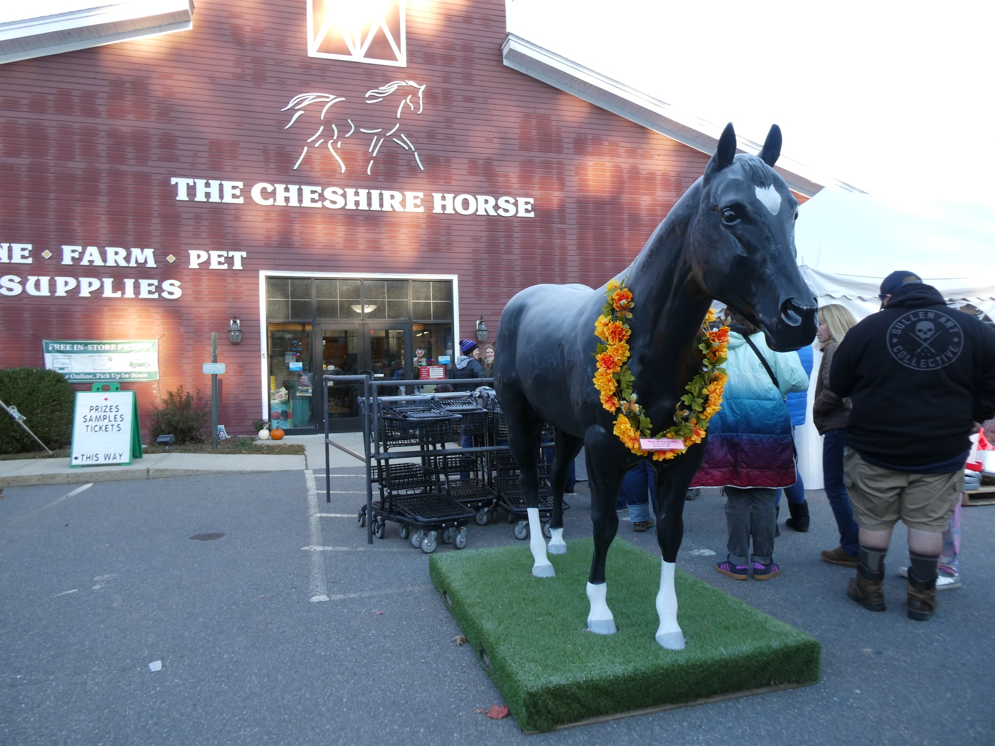 Animal Health Solutions and Equerry's - After an intense show or ...