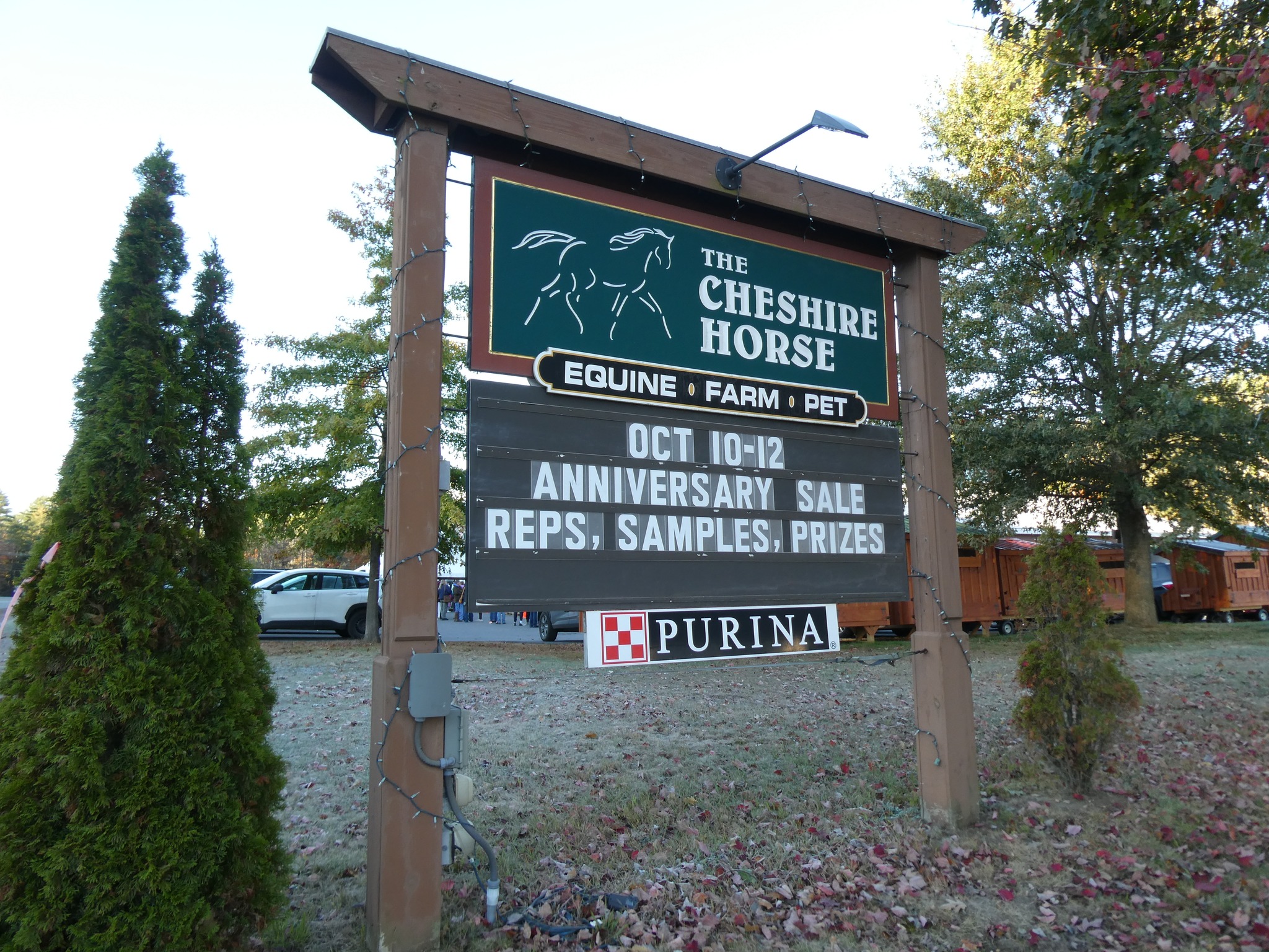 Animal Health Solutions and Equerry's - After an intense show or ...