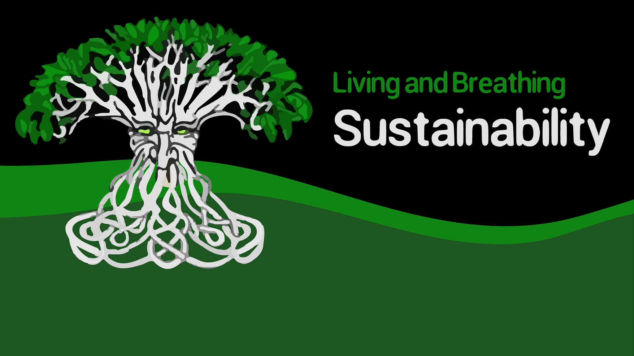 Treebeards Arboriculture | Marian QLD