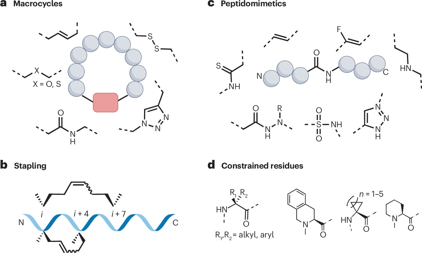 ghk-cu mechanism of action receptor downregulation gene regulation may Prevent Oxidative Stress in Skin by Regulating Copper and Modifying Expression Numerous Antioxidant Genes How Vision Peptides Work: Complete – ghk-cu mechanisms of action receptor