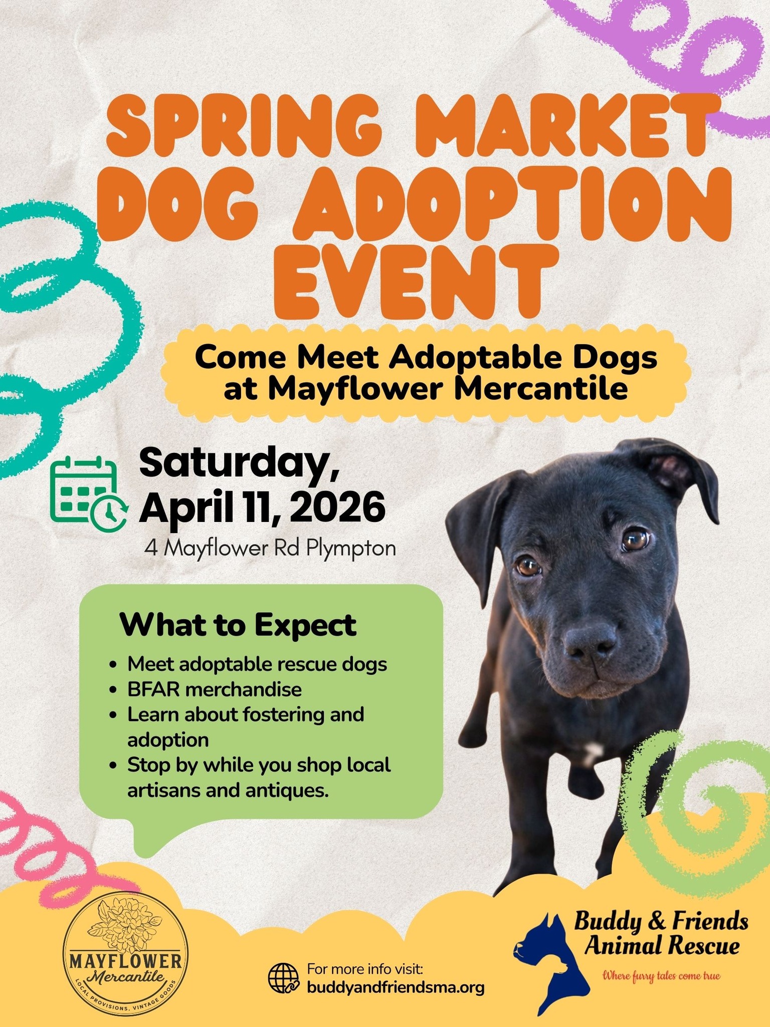 Spring Market Dog Adoption Event!