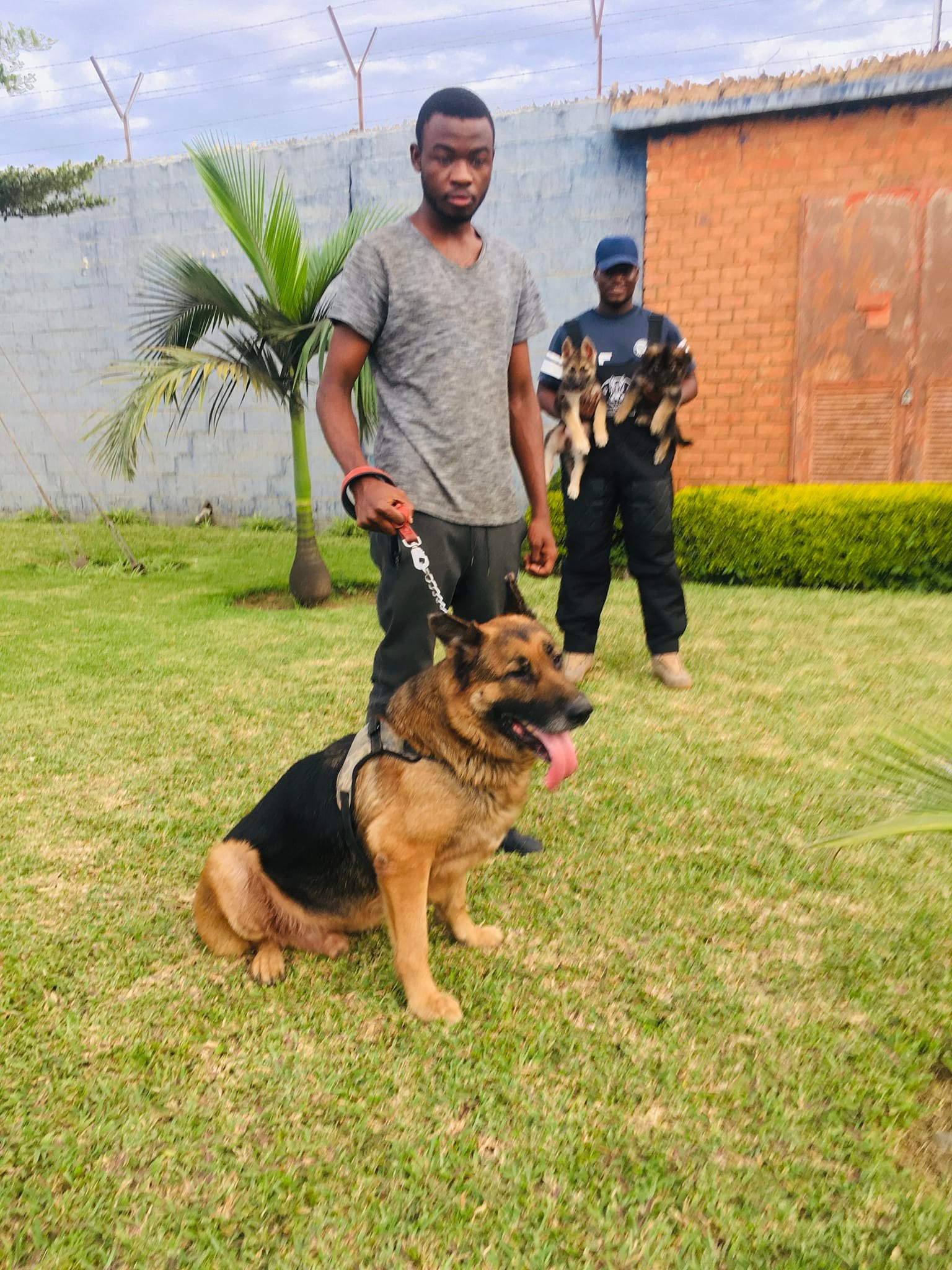 Dynamic k9