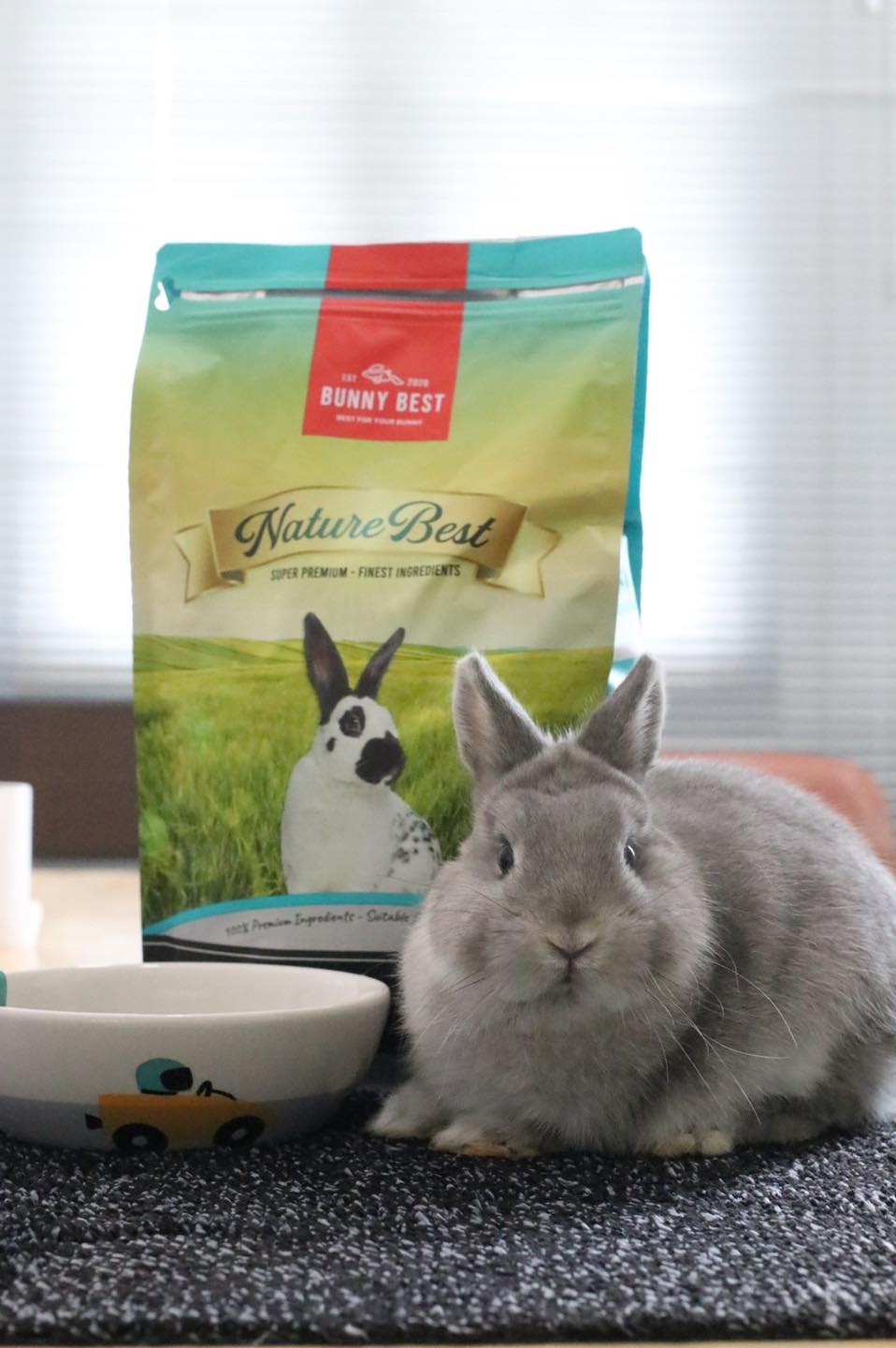 ((Nature Best ::... - BunnyBest.Official
