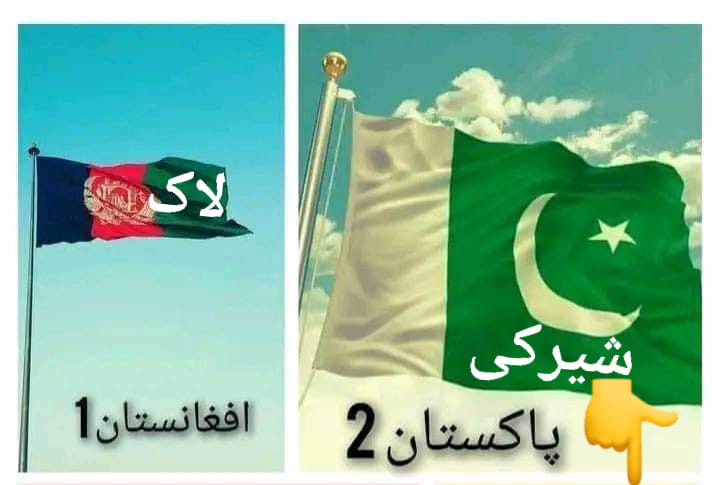 Daily News Pakistan