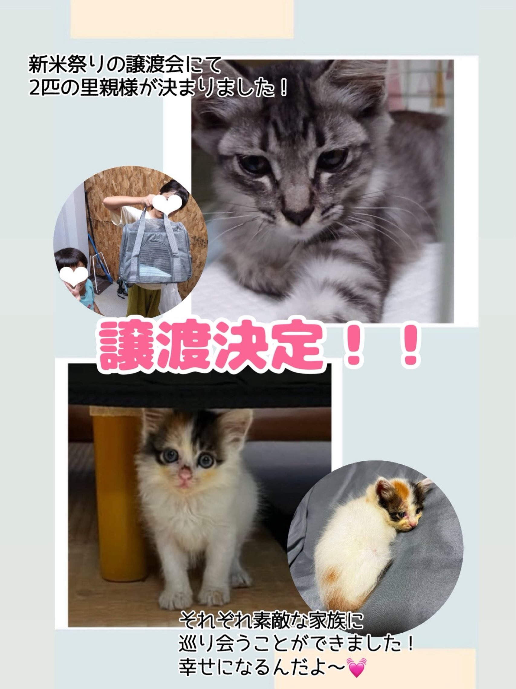 島neco会