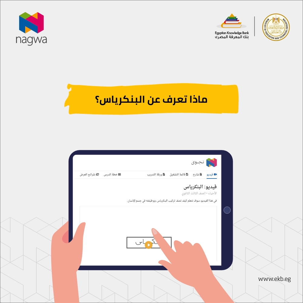 لطلاب الصف الثالث الثانوي،... - Egyptian Knowledge Bank- EKB