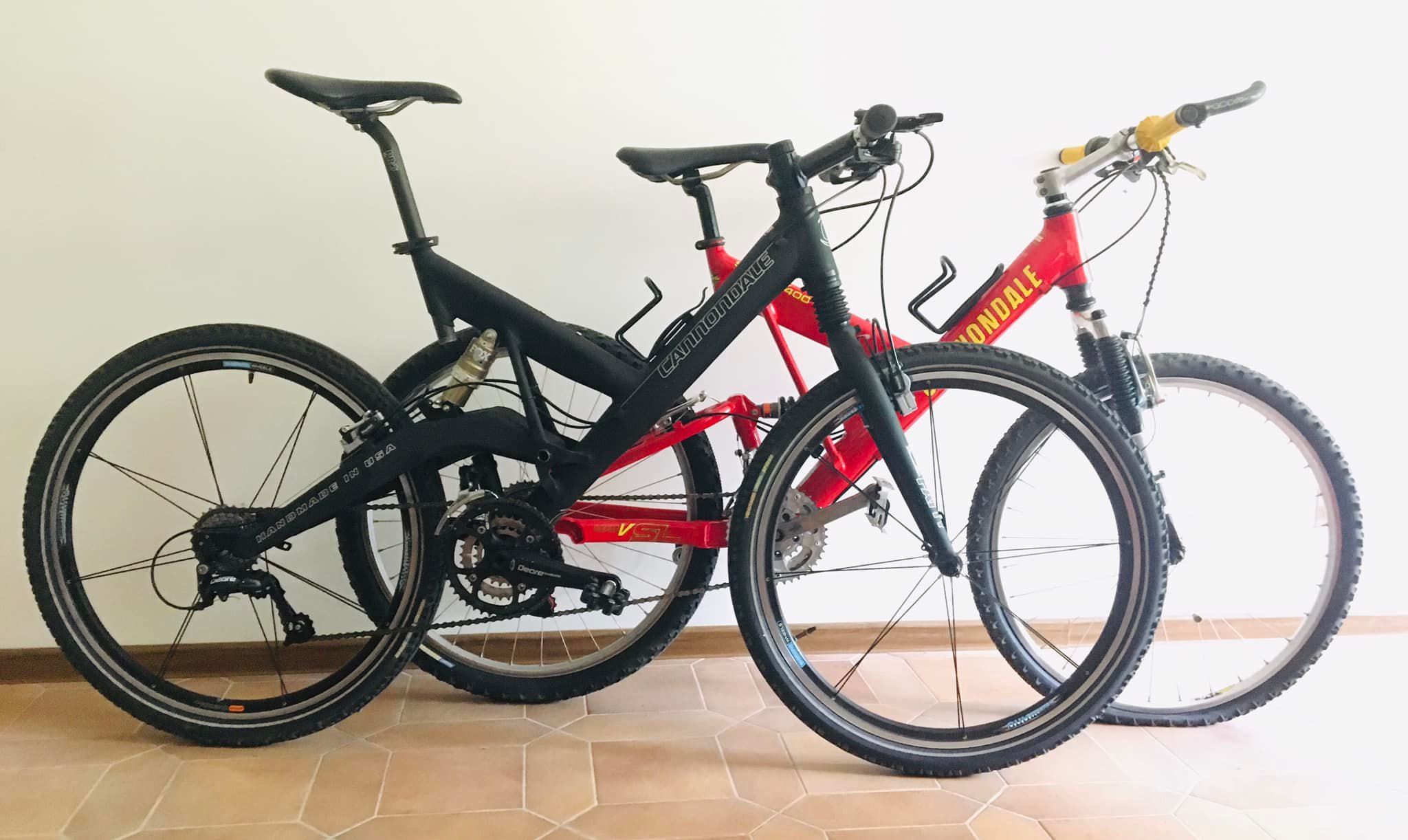 Information on Cannondale Volvo edition bike?