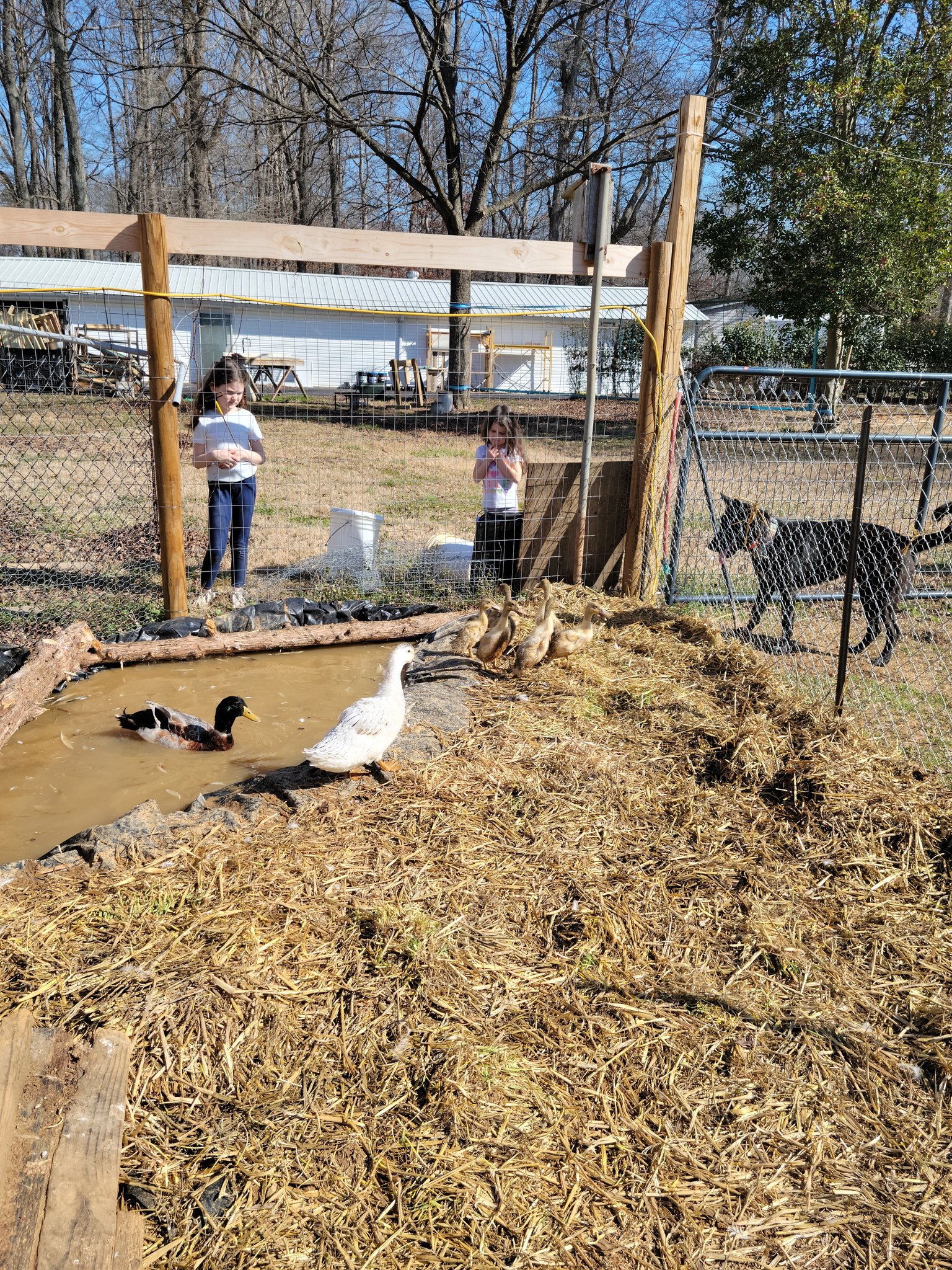 Tri-Acre Farm & Co. | Salisbury NC