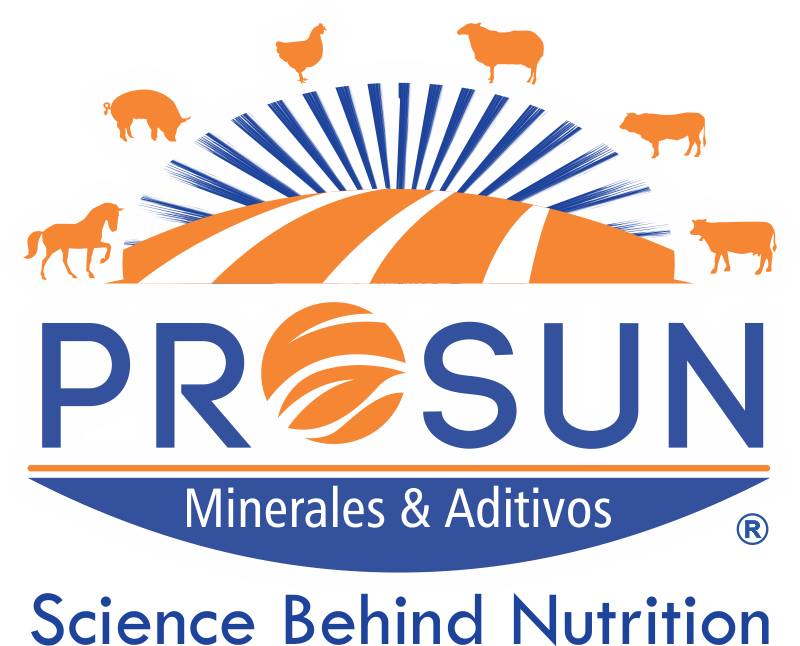Prosun Minerales