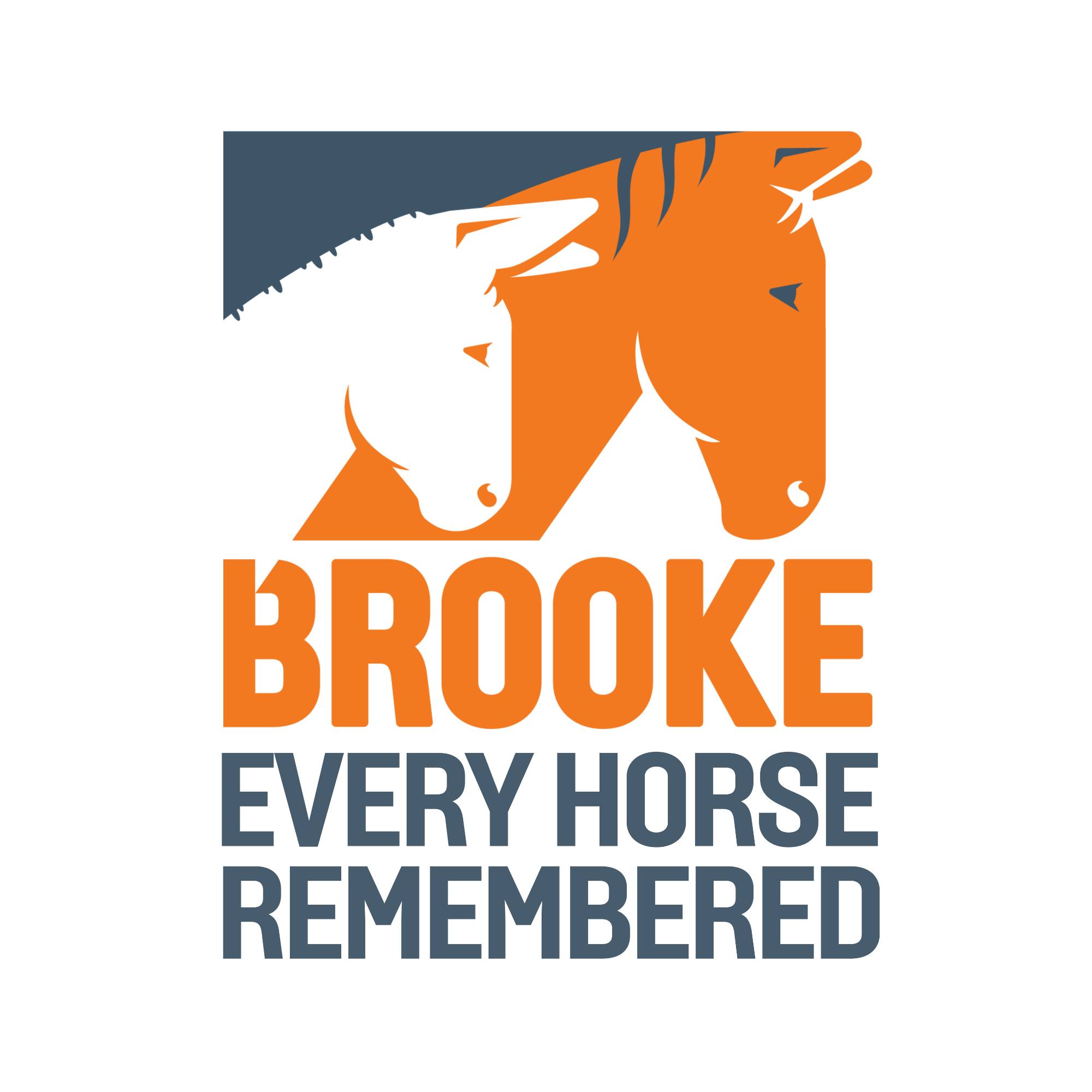 Millions... - Brooke, Action For Working Horses and Donkeys | Facebook