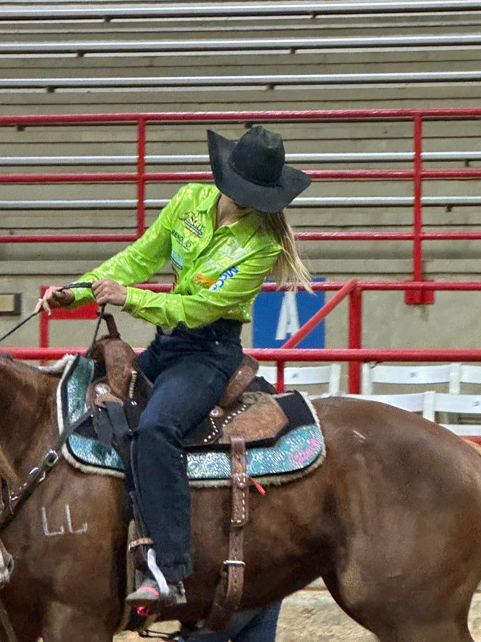 Diamond DM Performance Horses LLC | Point TX