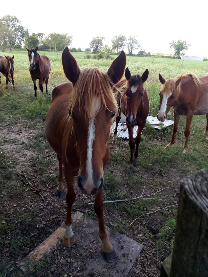Nolder Ranch - Nolder Ranch added a new photo.