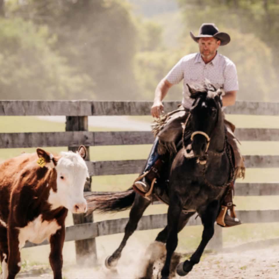 So God made a horse. | Luke Reinbold Horsemanship LLC