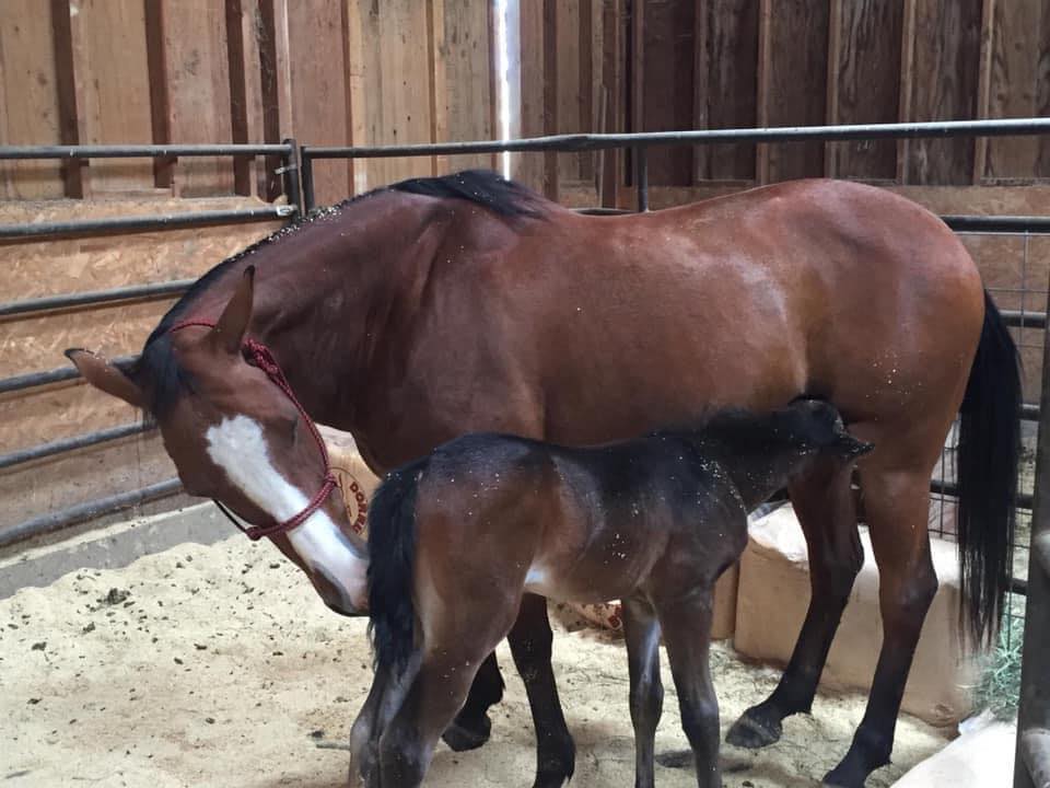 Two Rivers Ranch