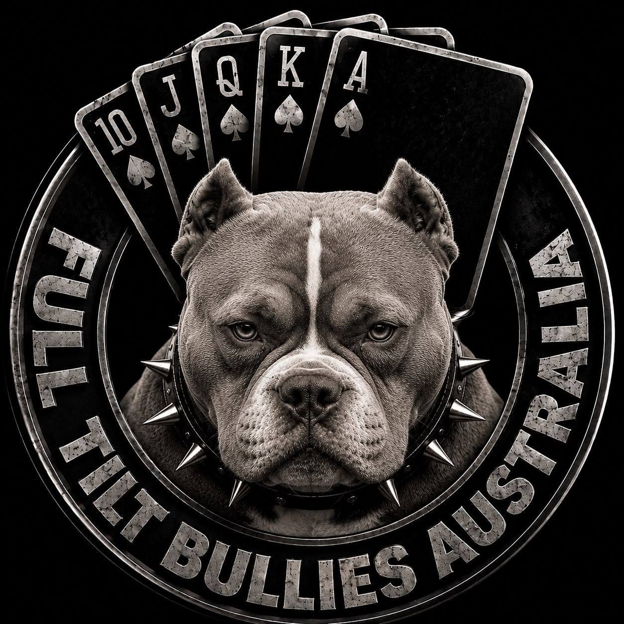 Many hands make for light work 💪🏆 | Full Tilt Bullies Australia