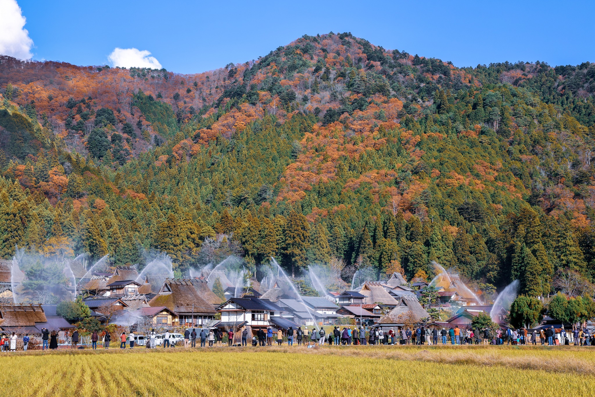 美山 か やぶき の 里 ライブ カメラ