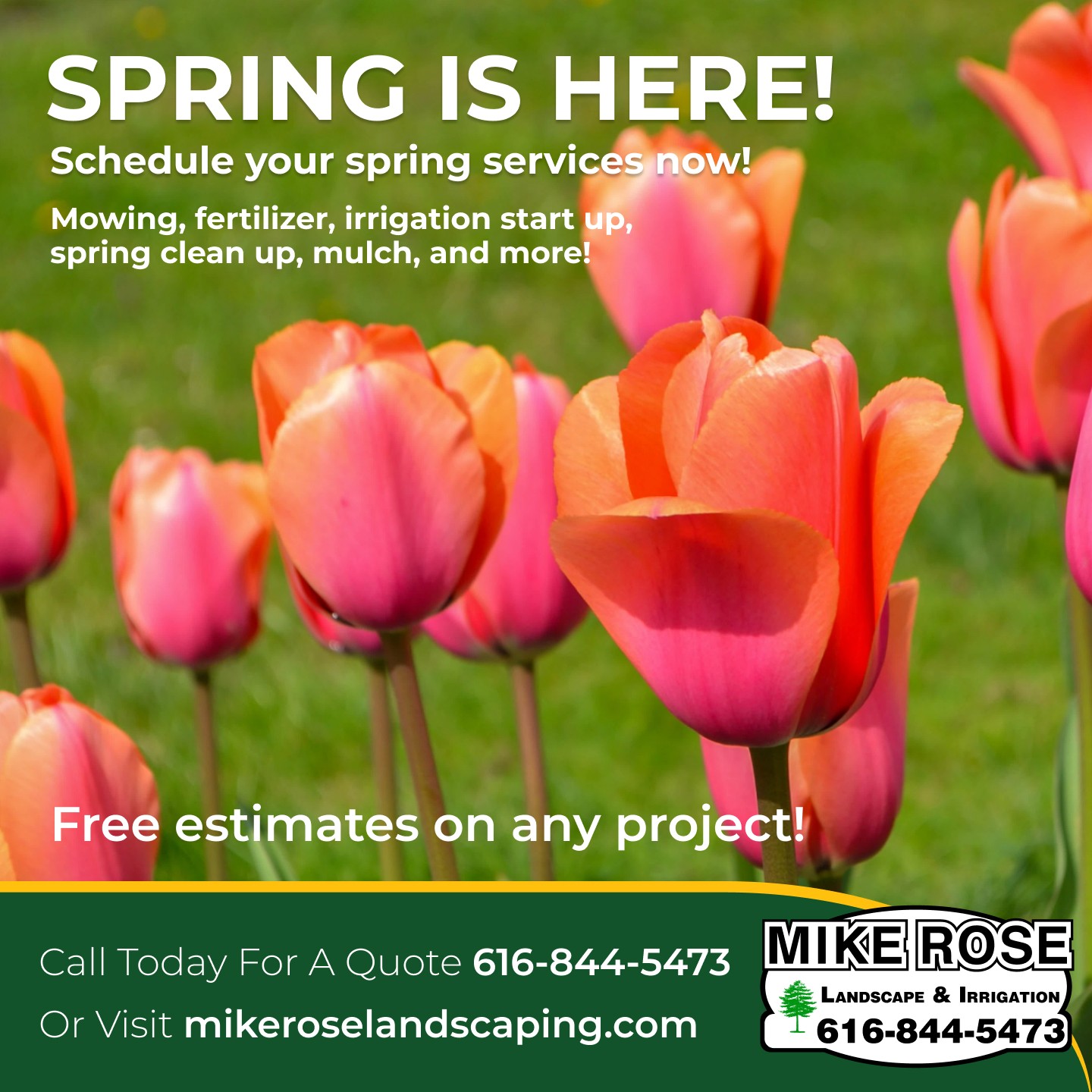 Mike - Spring has sprung, and it's the perfect time to give your lawn ...