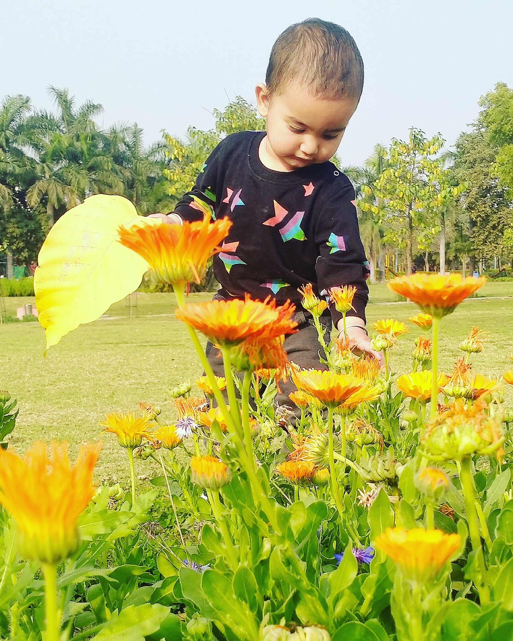 Adwik Sharma