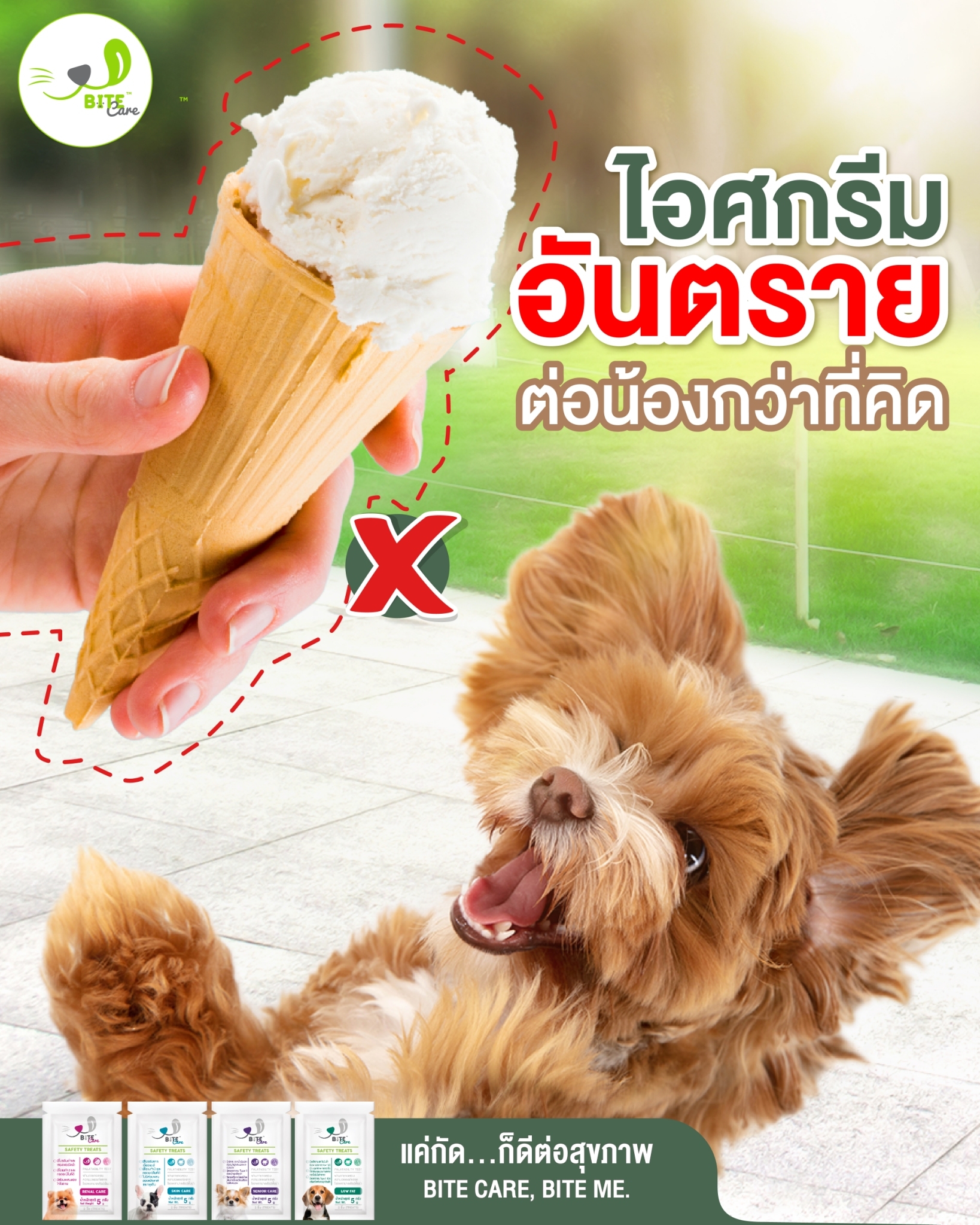 เลิกให้ไอศกรีมนมแล้วหันมาใ... - Bitecare ขนมสุขภาพสำหรับหมาแมว | Facebook