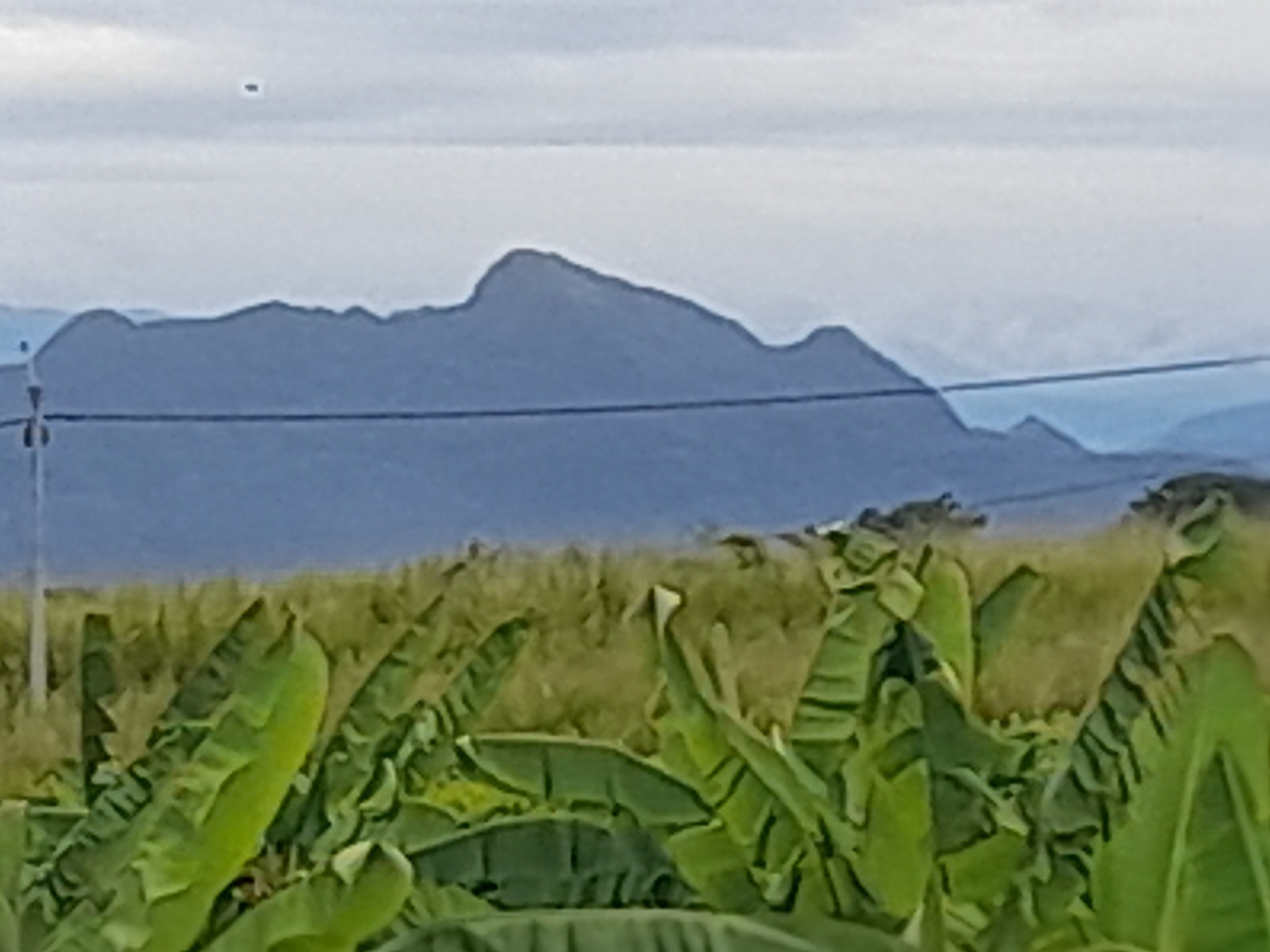 RH - Atención Cerro de Matambo municipio de Gigante y la figura de un ...