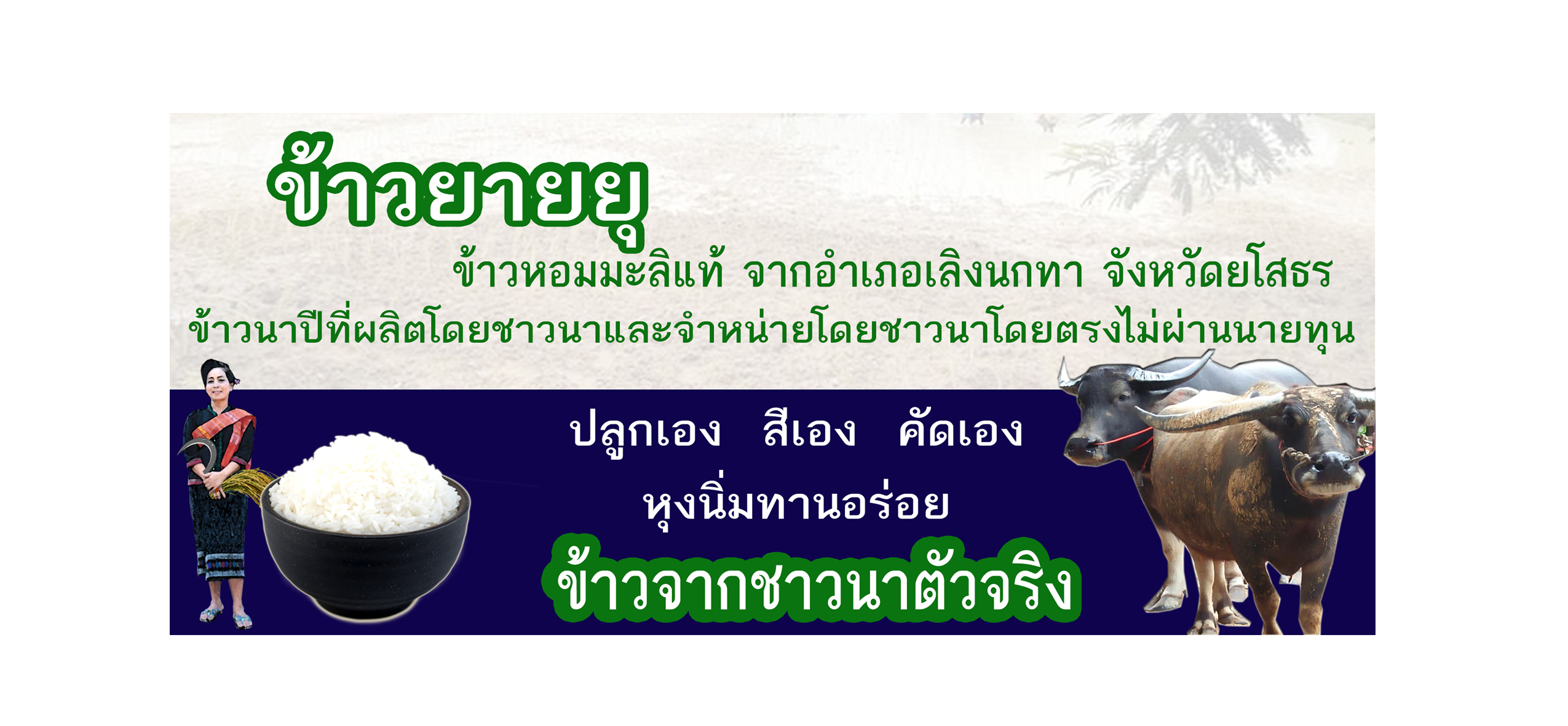 YAI YUU Jasmine Rice