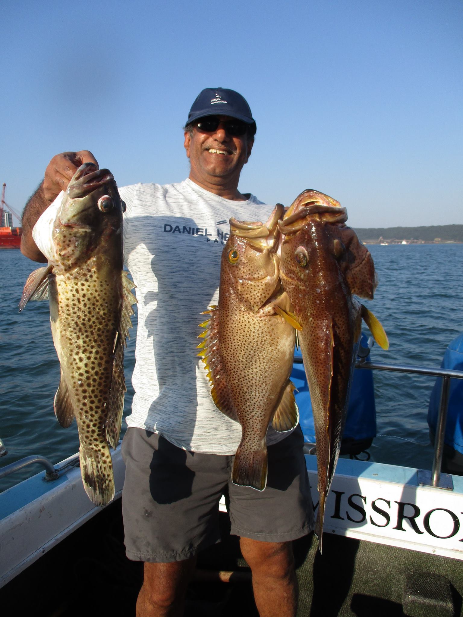 Swissroll - DR DES SANKAR IS THE ROCK COD KING !!! 2 X CAPT. FINE , 1 X ...