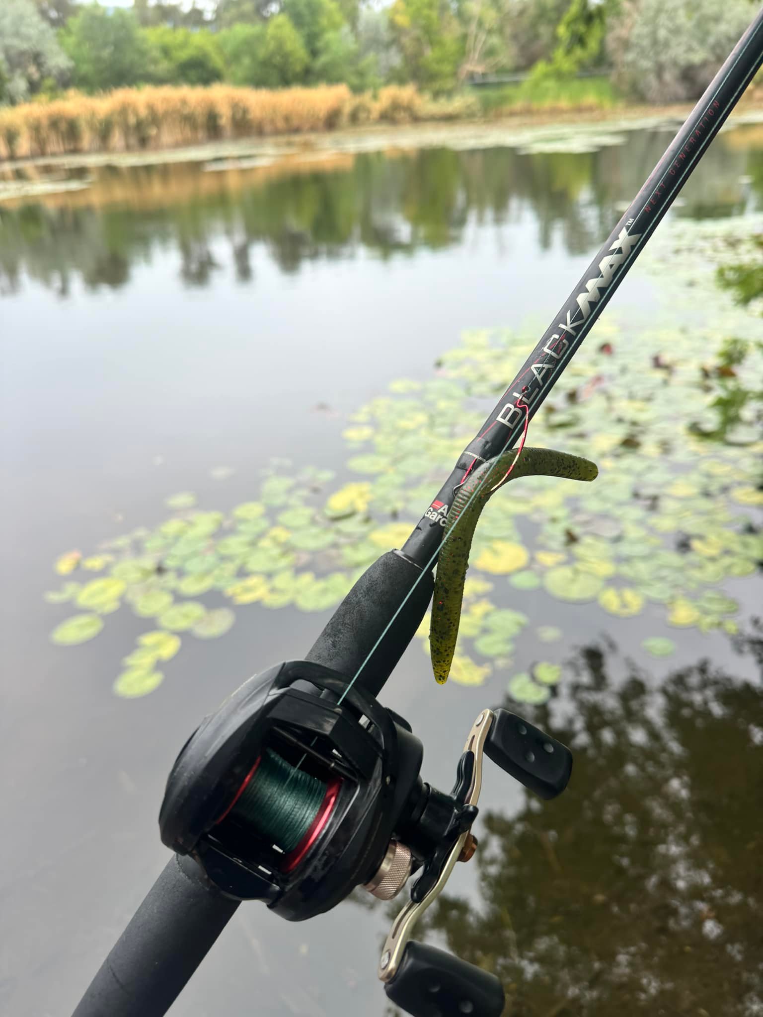 baitcaster jigging rod T-Zack Supreme the Ardent Edge Series Casting Rods are a great choice for a wide range of bass fishing applications What line for a 7ft