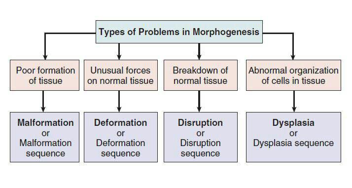 Medaberry - 4 types of structural defects that can result... | Facebook