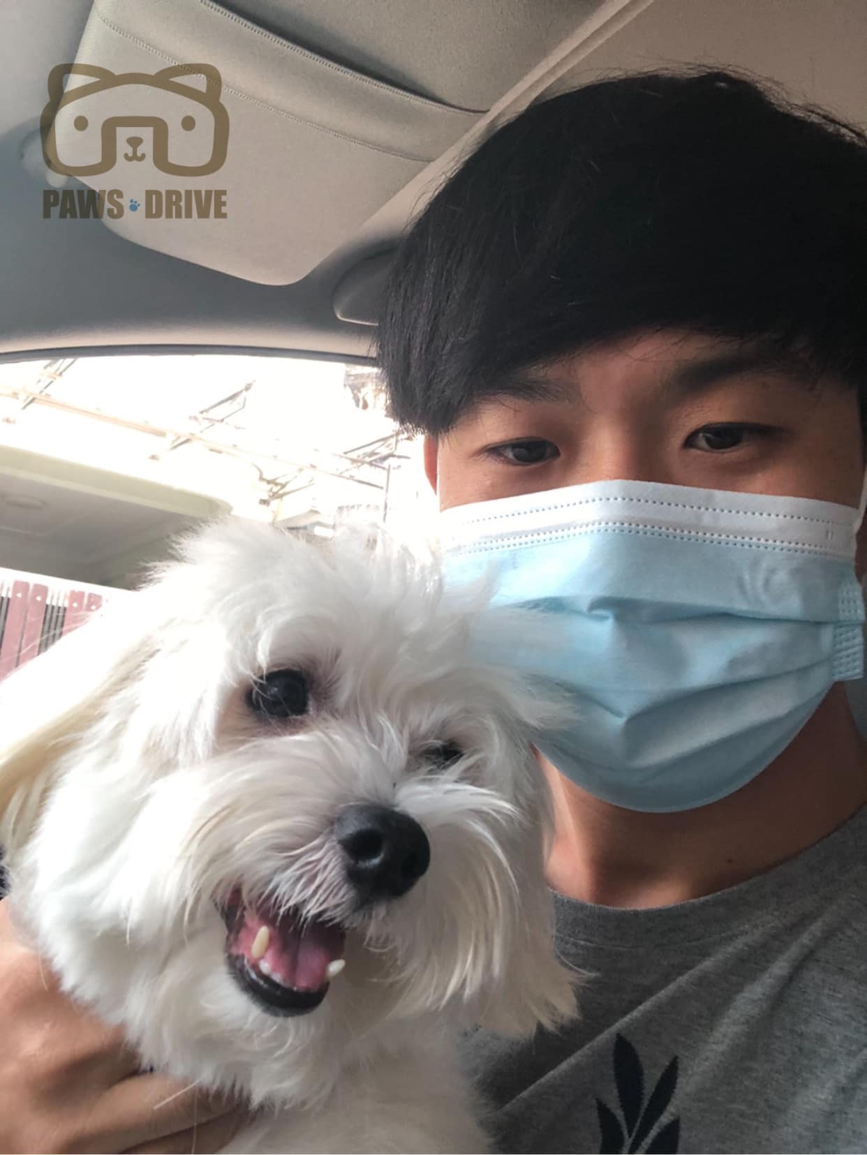 PAWS DRIVE - Home