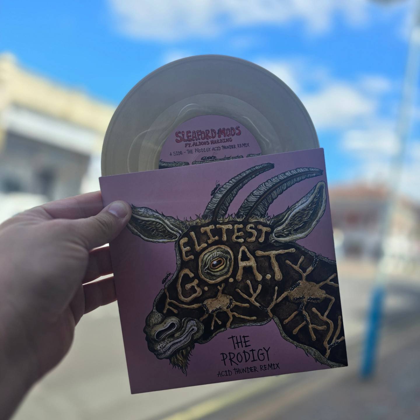 BACK IN STOCK** Sleaford Mods featuring Aldous Harding Elitest 