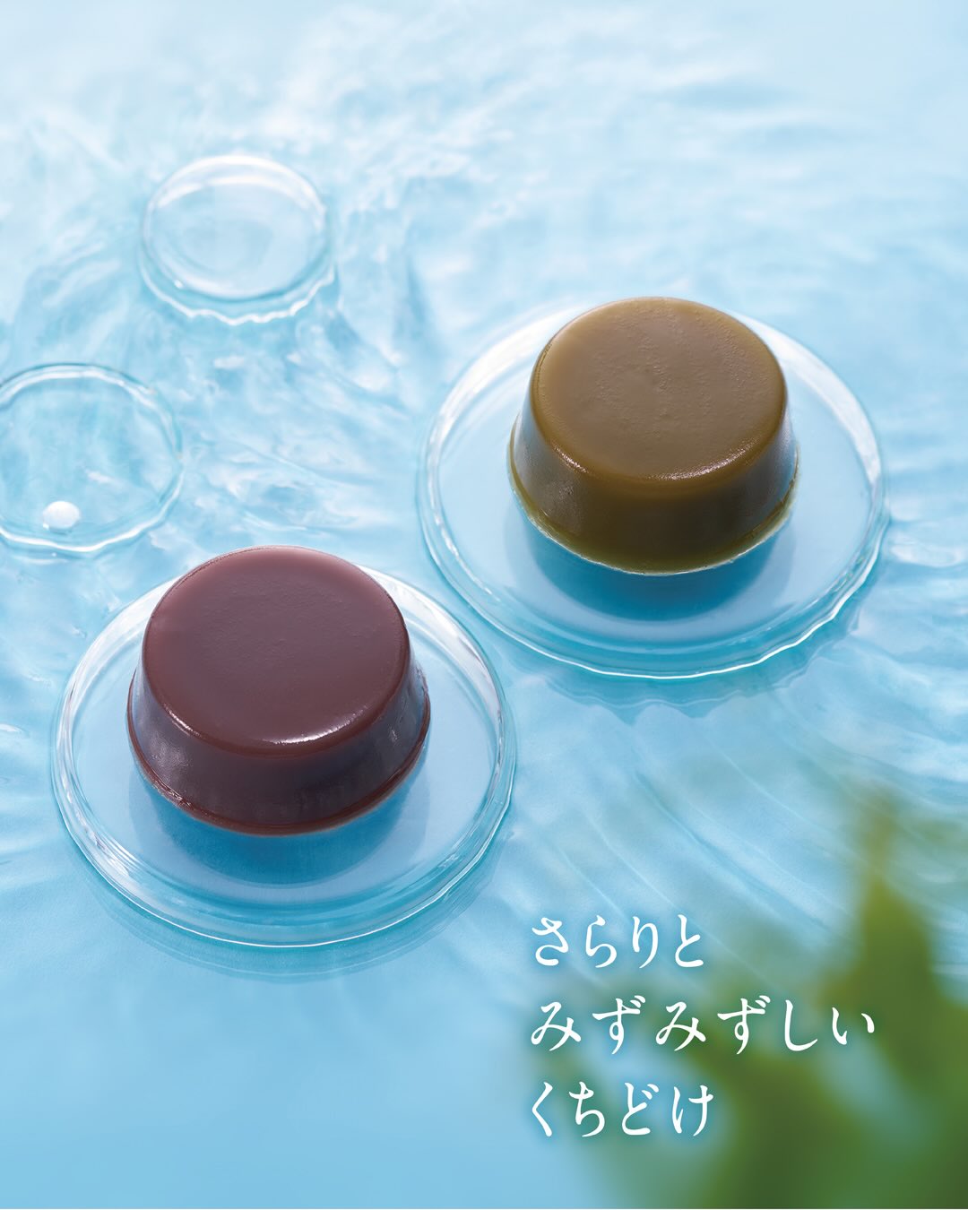 もりもと店舗・オンラインショップ】 ＼夏ギフトにぴったり／ 日頃