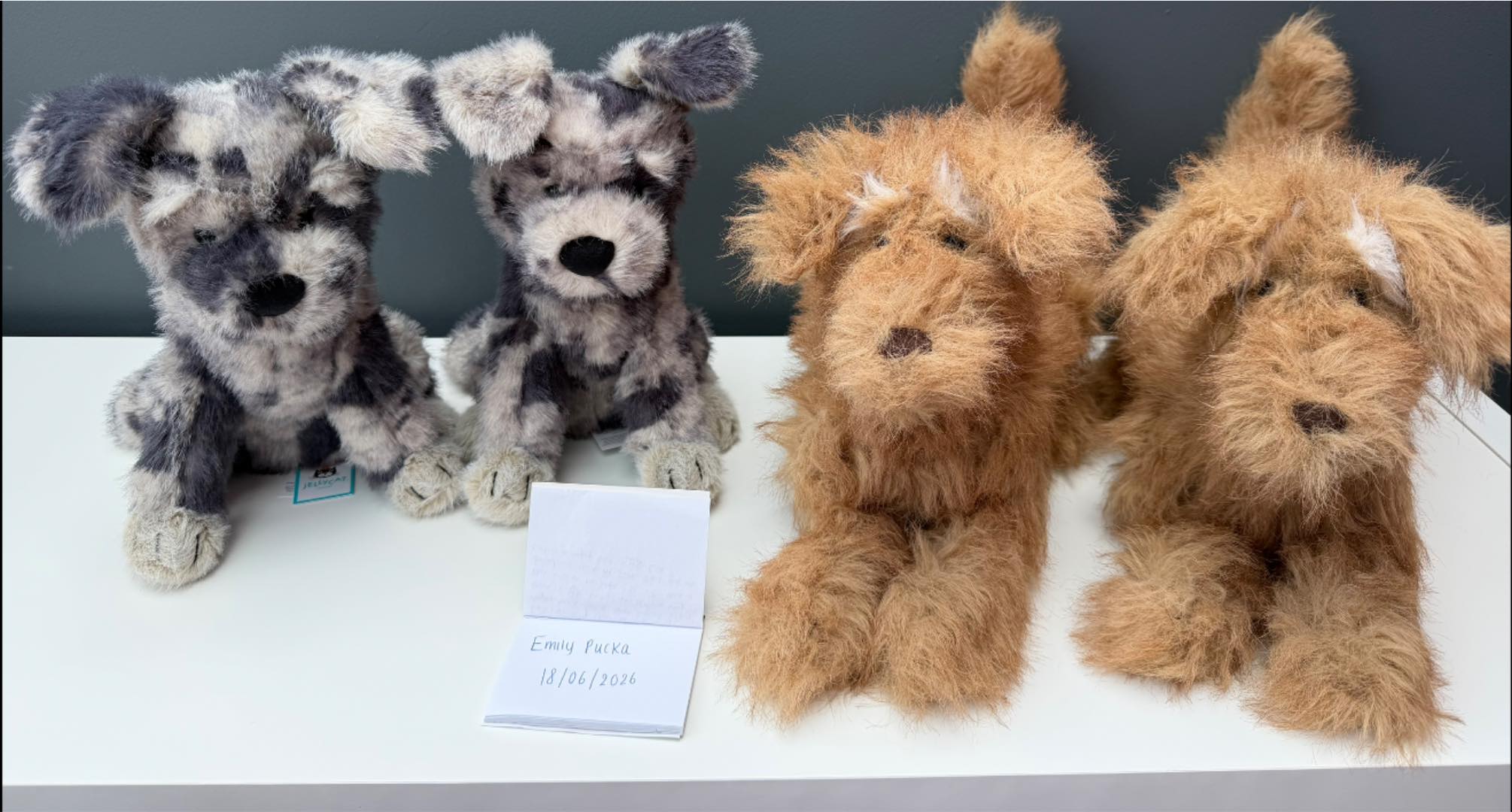 Jellycat Scruffles Rescue Dog plush toy for sale
