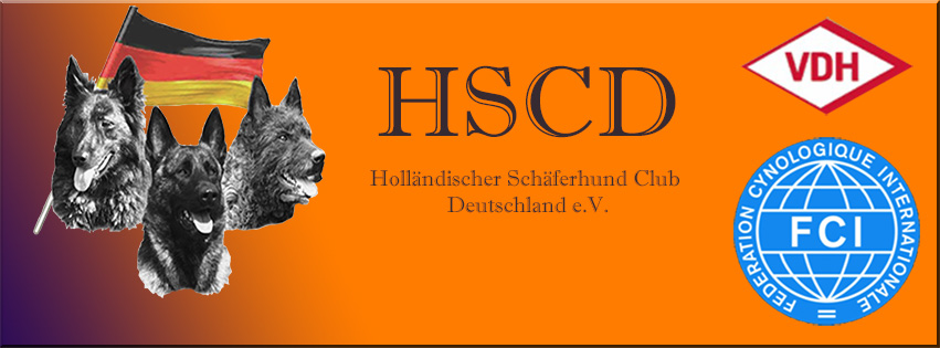 HSCD Holländischer Schäferhund Club Deutschland e.V. | Facebook