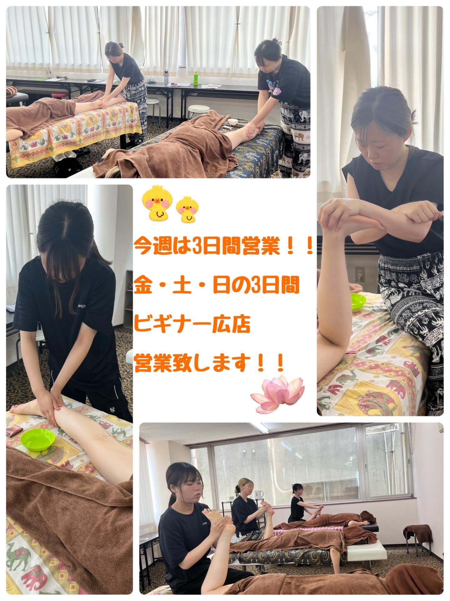 こんにちは🐥 今日は天気が良く過ごしやすいですね☀️ まだまだ梅雨