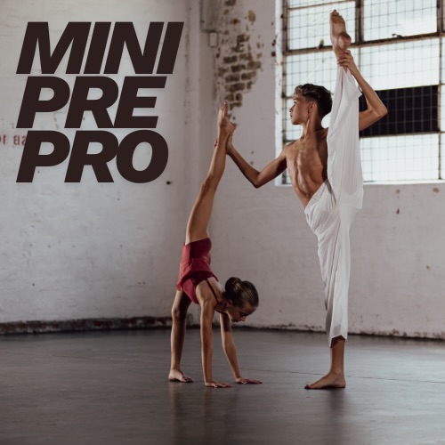 MINI PRE PRO Our Mini Pre... - Dynamic Pre Professional | Facebook