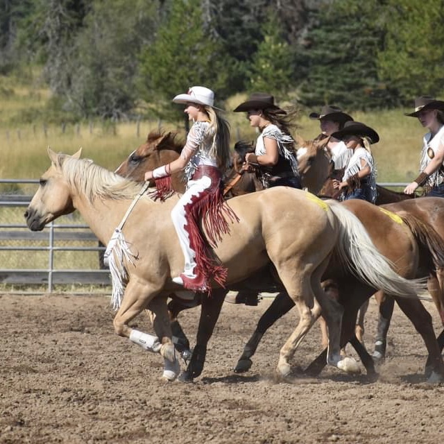 The EhCapa Bareback Riders... - The EhCapa Bareback Riders