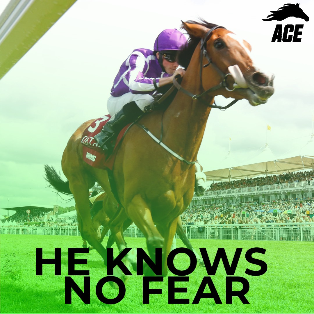 ACE Racing