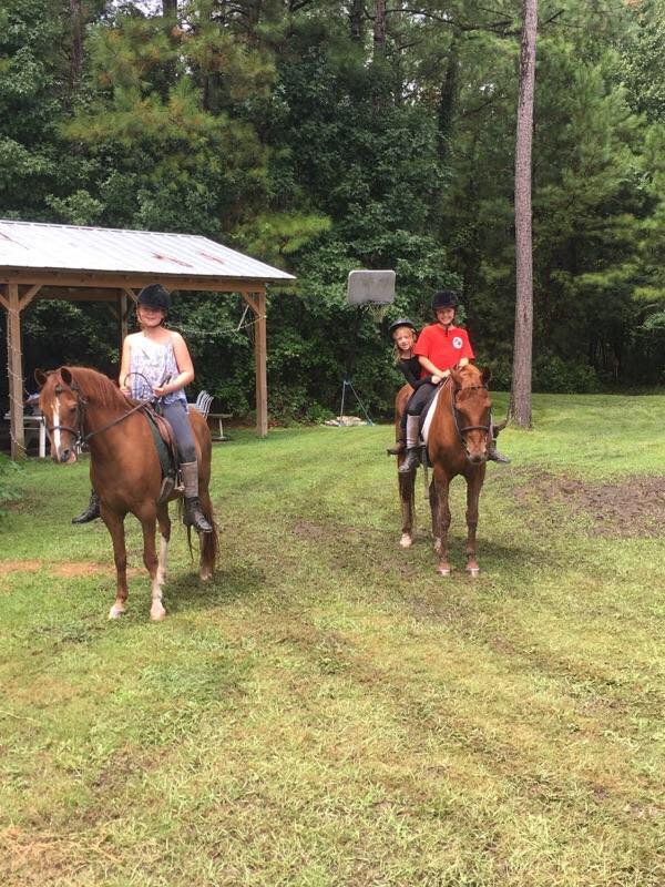 We made the absolute best... - Blissful Dreams Rescue Ranch