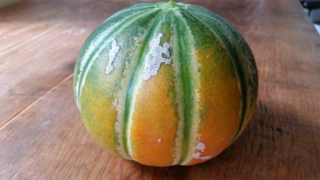 One of our most beloved varieties. A strikingly beautiful, tasty