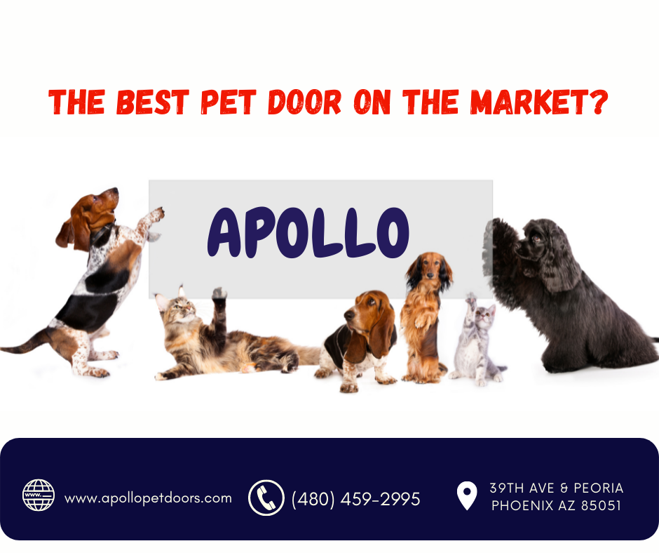 The best pet doors ever are here 😻 Now... - Apollo Pet Doors