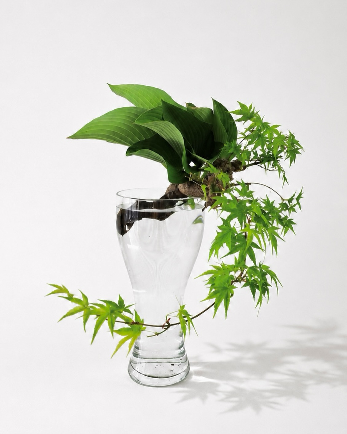 いけばな松風/Ikebana Shofu | Takasaki-shi Gunma