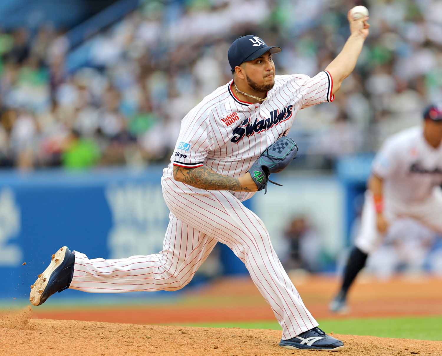 東京ヤクルトスワローズ - 本日は武内選手の誕生日です。おめでとう 