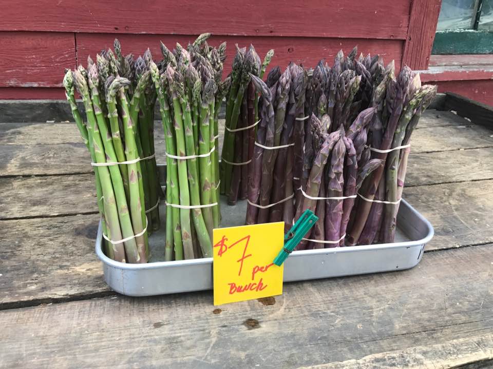 Howden Farm LLC | Sheffield MA