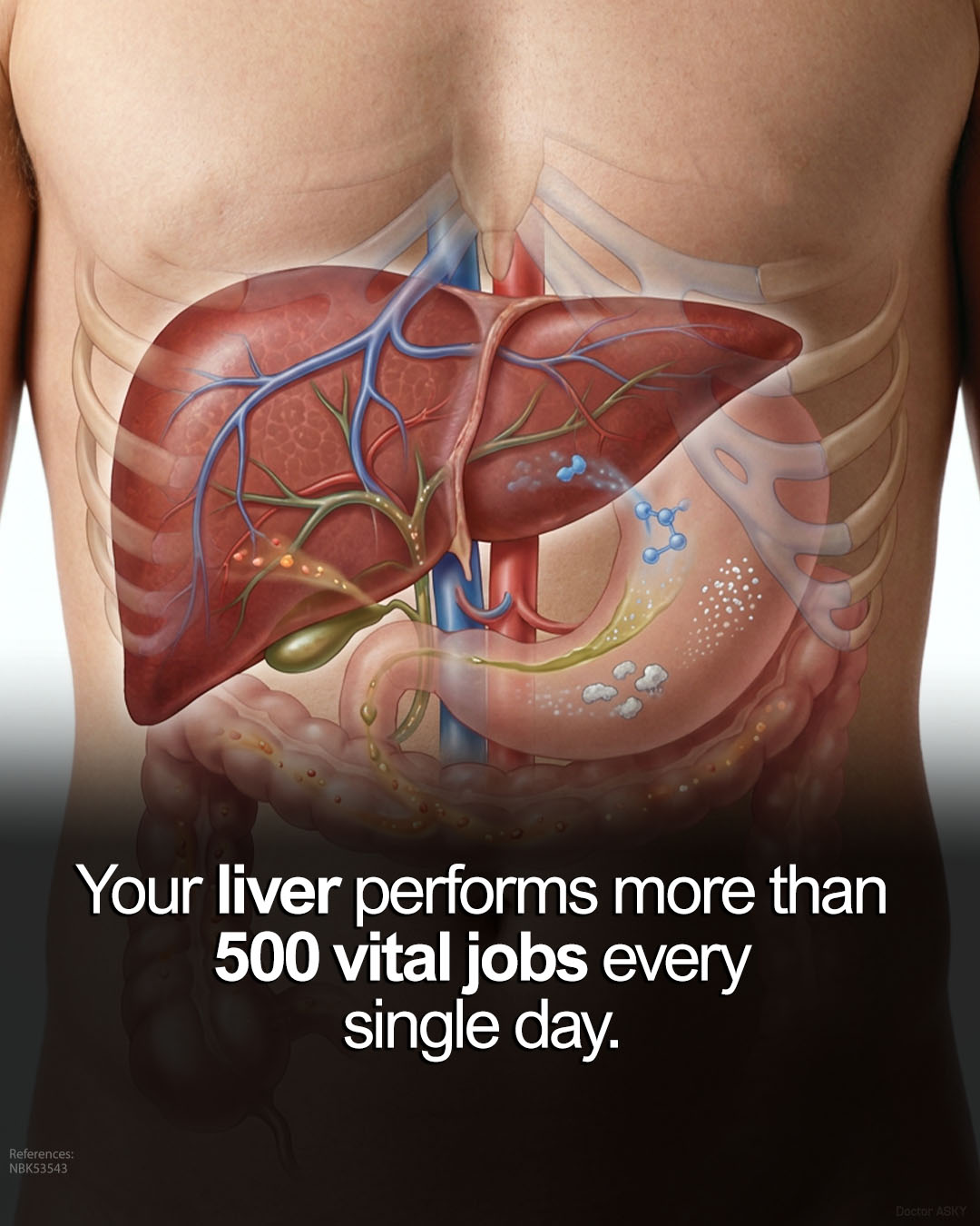 liver produces glutathione metabolism can cause elevated enzymes Disruption in and altered energy production in the and Glutathione benefits for liver health