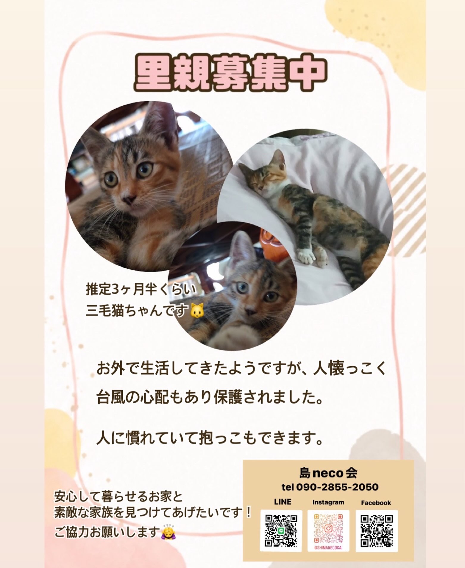 ねこすけさん専用 他社様　購入禁止です。 ?media_id=1642183803992197
