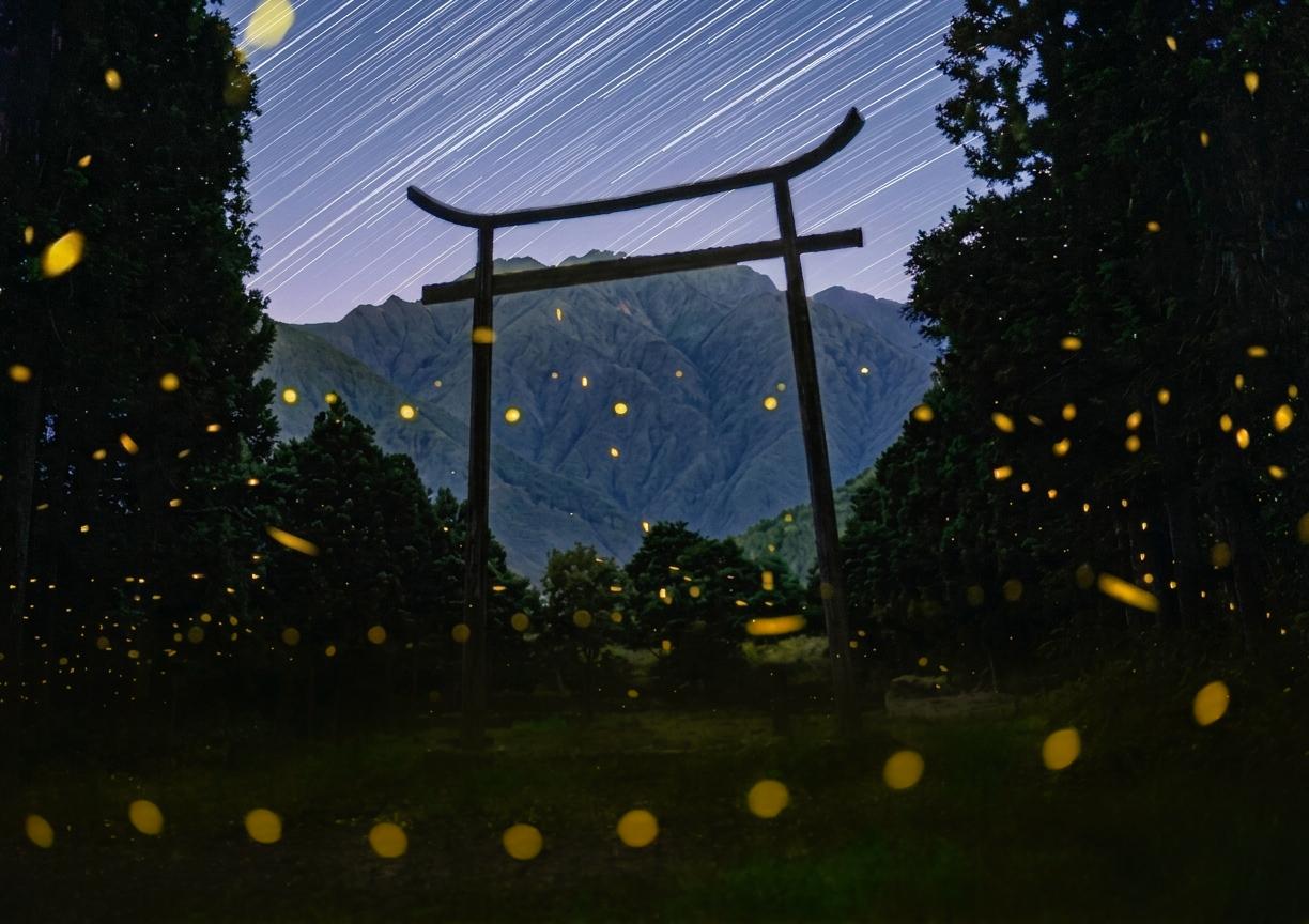 2026年9月19日（土）～22日（火・祝）開催、東京カメラ部2026写真展 in